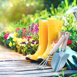 Meet your Posher, Friendsfan234